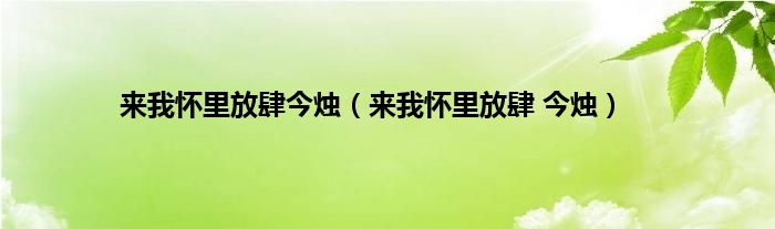 来我怀里放肆今烛（来我怀里放肆 今烛）