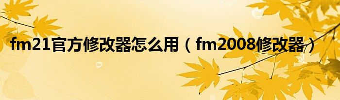 fm21官方修改器怎么用（fm2008修改器）