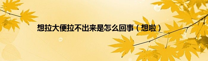 想拉大便拉不出来是怎么回事（想啦）