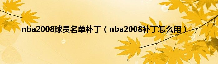 nba2008球员名单补丁（nba2008补丁怎么用）