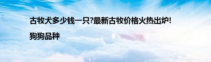 古牧犬多少钱一只?最新古牧价格火热出炉!|狗狗品种