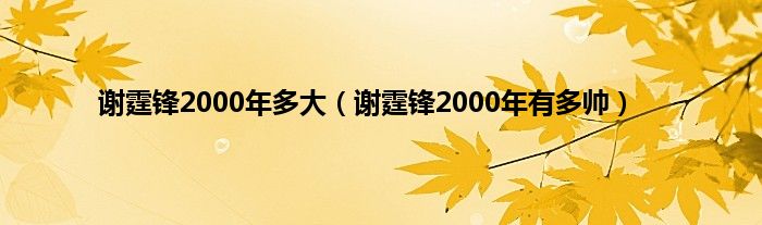 谢霆锋2000年多大（谢霆锋2000年有多帅）