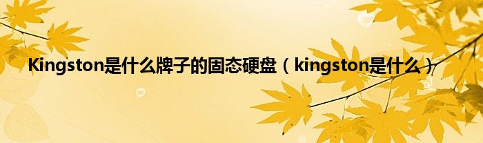 Kingston是是什么牌子的固态硬盘（kingston是是什么）