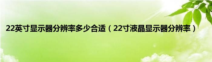 22英寸显示器分辨率多少合适（22寸液晶显示器分辨率）