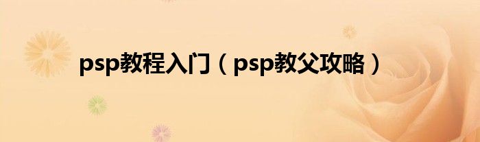 psp教程入门（psp教父攻略）