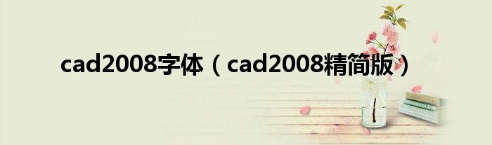 cad2008字体（cad2008精简版）