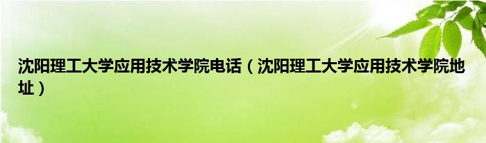 沈阳理工大学应用技术学院电话（沈阳理工大学应用技术学院地址）