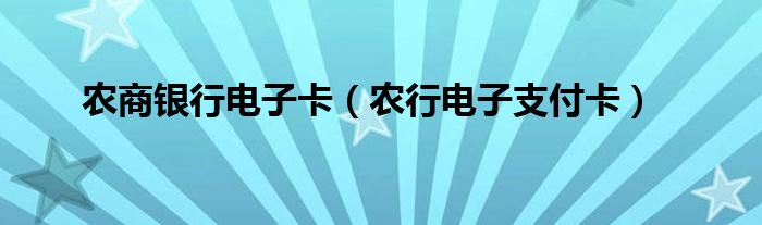 农商银行电子卡（农行电子支付卡）