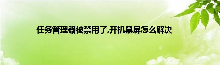 任务管理器被禁用了,开机黑屏怎么解决