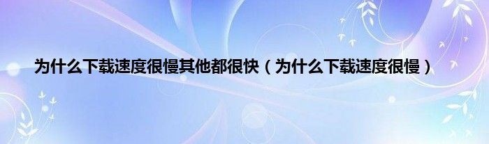 为是什么下载速度很慢其他都很快（为是什么下载速度很慢）