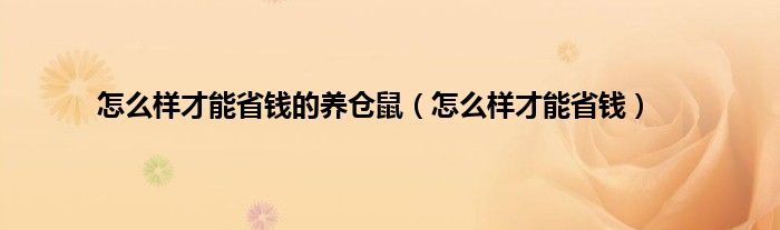 怎么样才能省钱的养仓鼠（怎么样才能省钱）