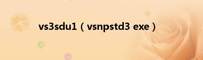 vs3sdu1（vsnpstd3 exe）