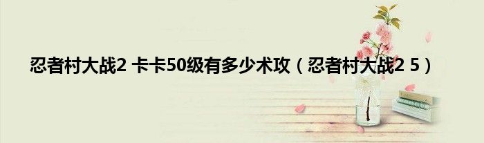 忍者村大战2 卡卡50级有多少术攻（忍者村大战2 5）