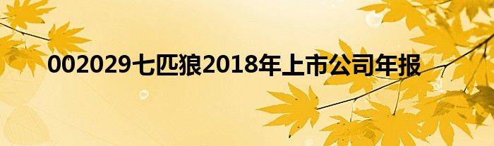 002029七匹狼2018年上市公司年报