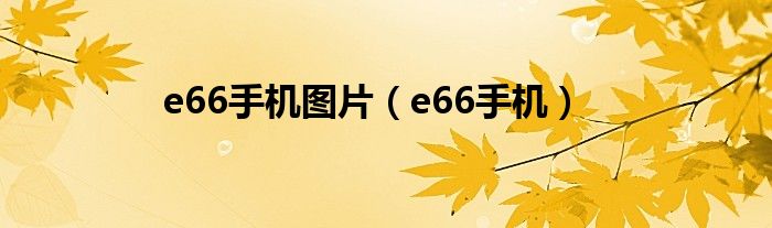 e66手机图片（e66手机）