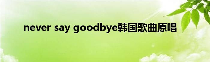 never say goodbye韩国歌曲原唱