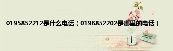 0195852212是是什么电话（0196852202是哪里的电话）