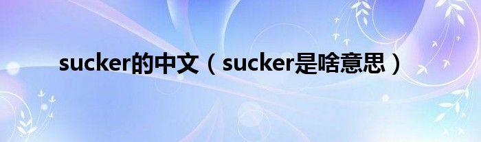 sucker的中文（sucker是啥意思）