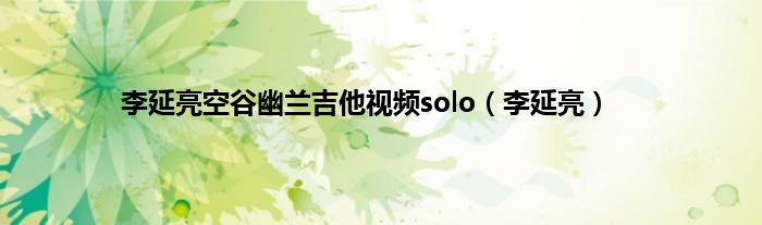 李延亮空谷幽兰吉他视频solo（李延亮）