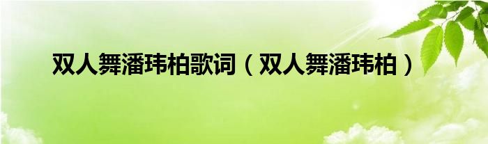 双人舞潘玮柏歌词（双人舞潘玮柏）