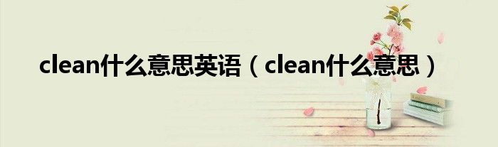 clean是什么意思英语（clean是什么意思）