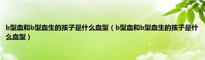 b型血和b型血生的孩子是是什么血型（b型血和b型血生的孩子是是什么血型）