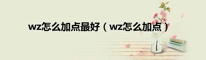 wz怎么加点最好（wz怎么加点）