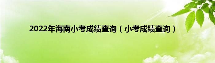 2022年海南小考成绩查询（小考成绩查询）