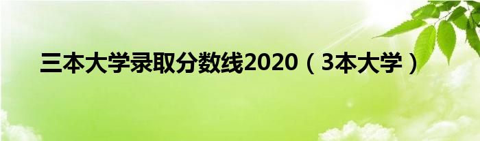 三本大学录取分数线2020（3本大学）