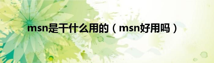 msn是干是什么用的（msn好用吗）