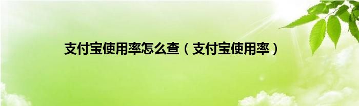 支付宝使用率怎么查（支付宝使用率）