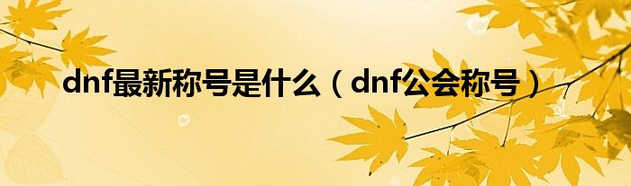 dnf最新称号是是什么（dnf公会称号）