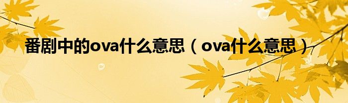 番剧中的ova是什么意思（ova是什么意思）