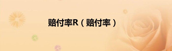 赔付率R（赔付率）