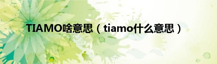 TIAMO啥意思（tiamo是什么意思）