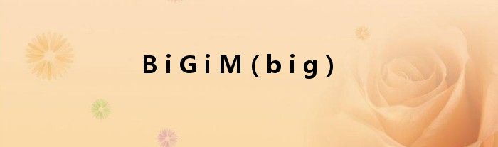 B i G i M（b i g）