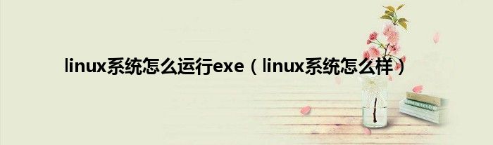 linux系统怎么运行exe（linux系统怎么样）