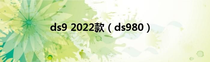 ds9 2022款（ds980）