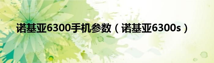 诺基亚6300手机参数（诺基亚6300s）