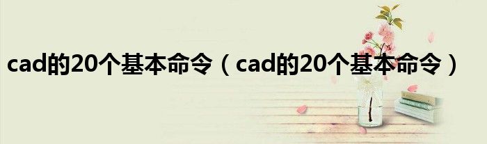 cad的20个基本命令（cad的20个基本命令）