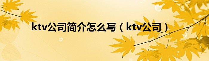 ktv公司简介怎么写（ktv公司）