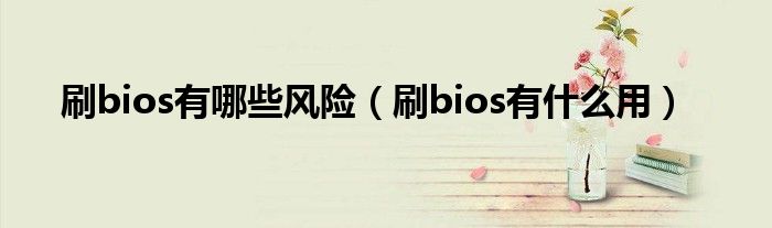 刷bios有哪些风险（刷bios有是什么用）