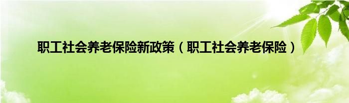 职工社会养老保险新政策（职工社会养老保险）