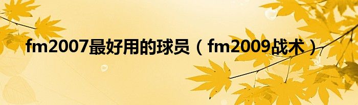 fm2007最好用的球员（fm2009战术）