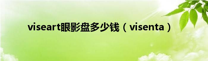 viseart眼影盘多少钱（visenta）