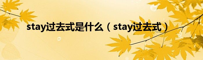 stay过去式是是什么（stay过去式）