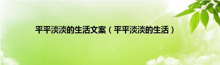 平平淡淡的生活文案（平平淡淡的生活）