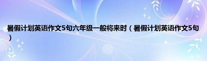 暑假计划英语作文5句六年级一般将来时（暑假计划英语作文5句）