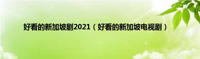 好看的新加坡剧2021（好看的新加坡电视剧）