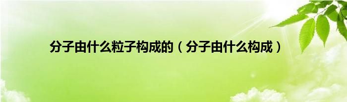 分子由是什么粒子构成的（分子由是什么构成）